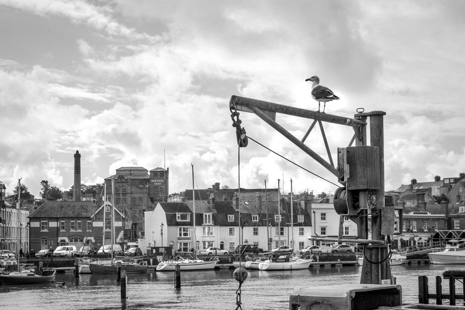 Working harbour credit Ed Coleman