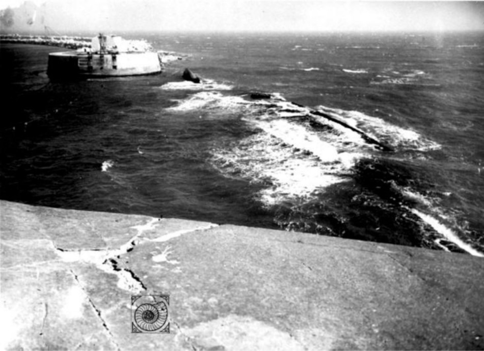 Shipwrecked Weymouth
