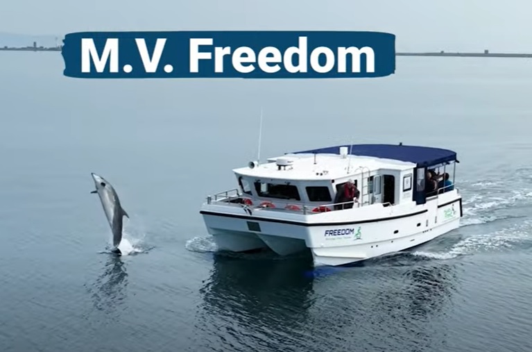 MV Freedom vessel with jumping dolphin