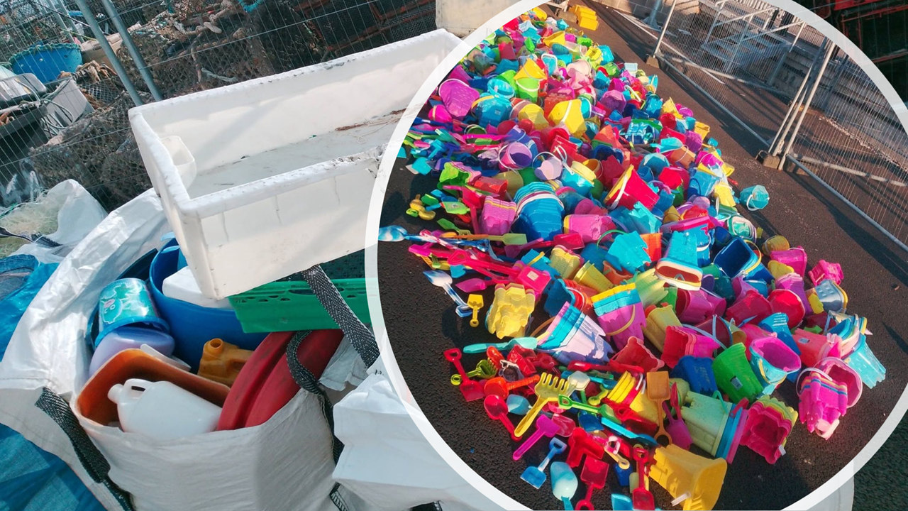 Weymouth &Portland Marine Litter Project