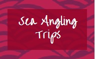 Sea Angling Trips